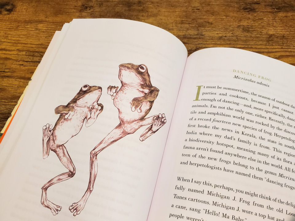 Dancing Frog from World of Wonders book, by Aimee Nezhukumatathil